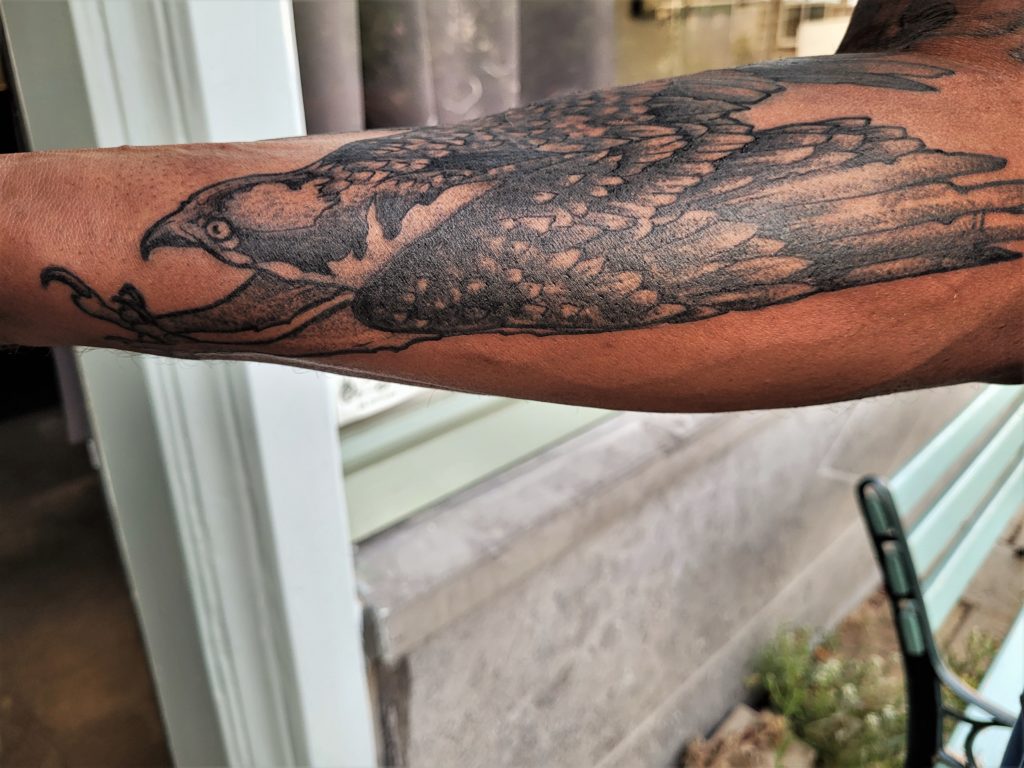 Falcon tattoo custom from Inkfish rotterdam