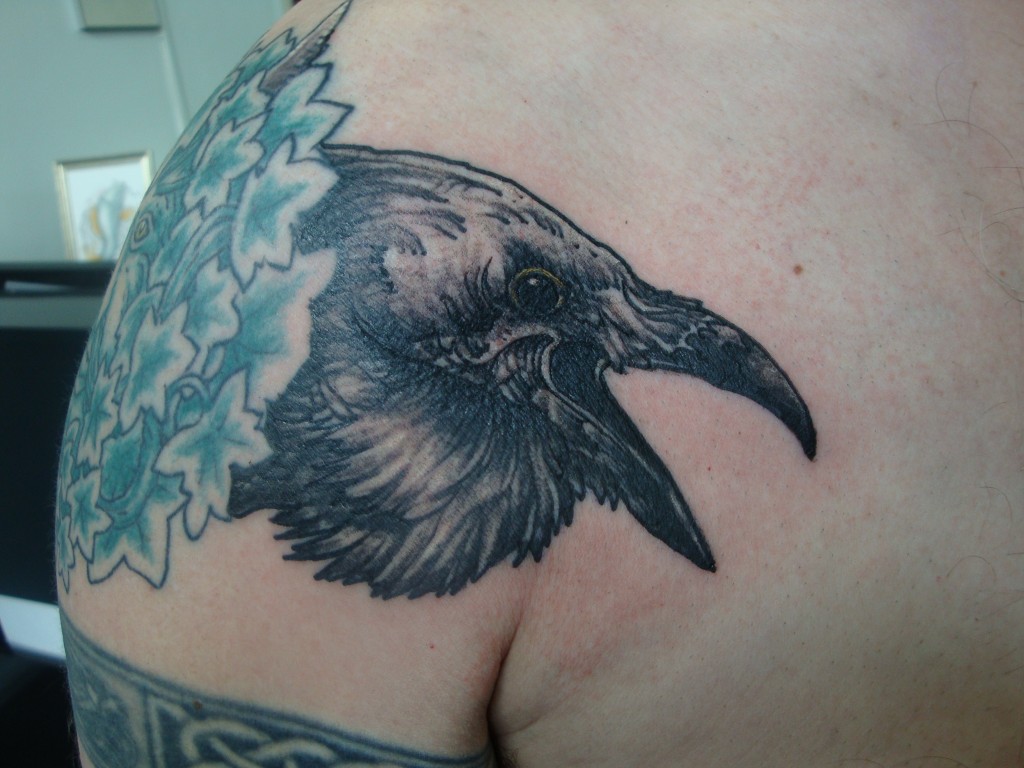 kraai schouder vogel
