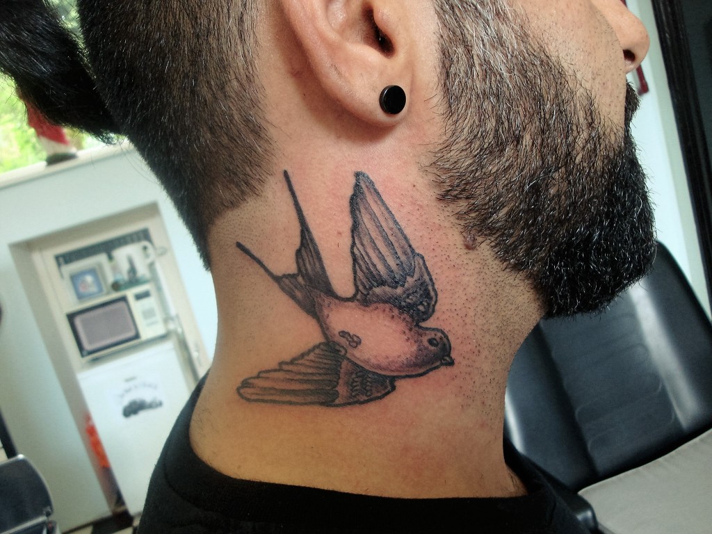 Inkfish tattoo shop vogel nek man swallow