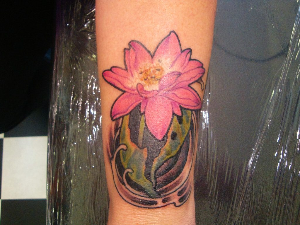 Tattoo shop gallery orchid coverup