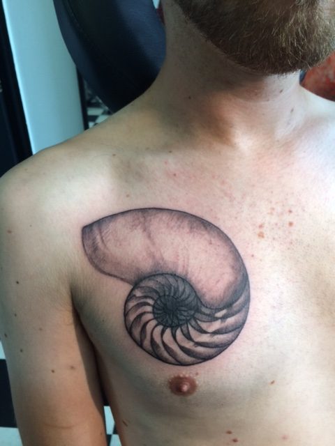 Nautilus shell xray tattoo realism.